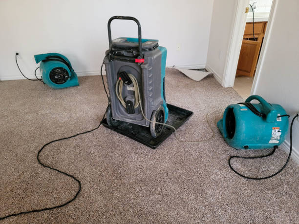 Best Commercial water damage restoration  in West Wendover, NV