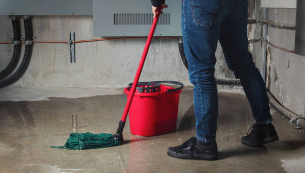 Water damage restoration mold remediation in West Wendover, NV