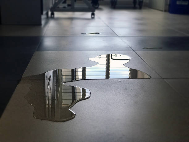 Best Emergency water damage restoration  in West Wendover, NV