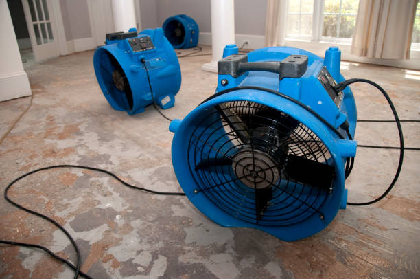 Best Local water damage restoration  in West Wendover, NV
