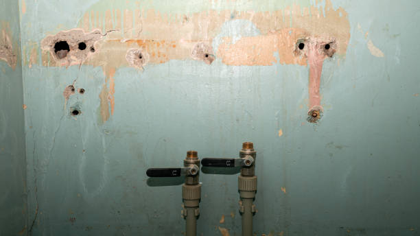 Best Carpet water damage restoration  in West Wendover, NV